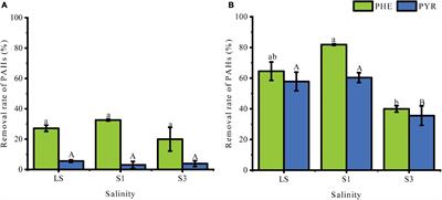 Effects of Salinity on the Biodegradation of Polycyclic Aromatic Hydrocarbons in Oilfield Soils Emphasizing Degradation Genes and Soil Enzymes